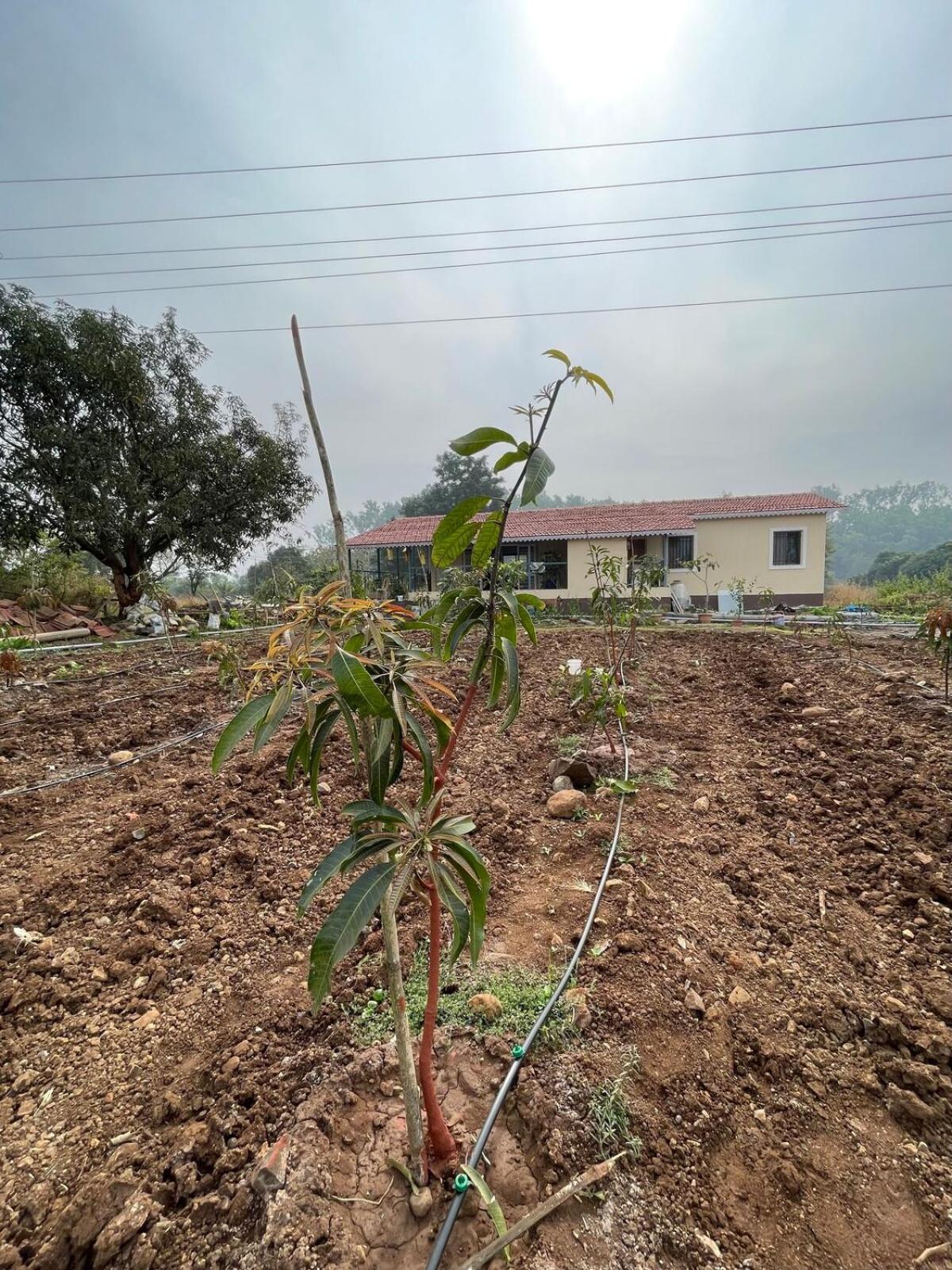 Willa Aj Farms Welhe Zewnętrze zdjęcie